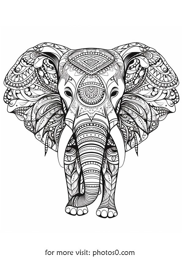 free printing elephant mandala coloring pages for adults