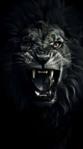 black lion hd 4k wallpaper for mobile phone free download