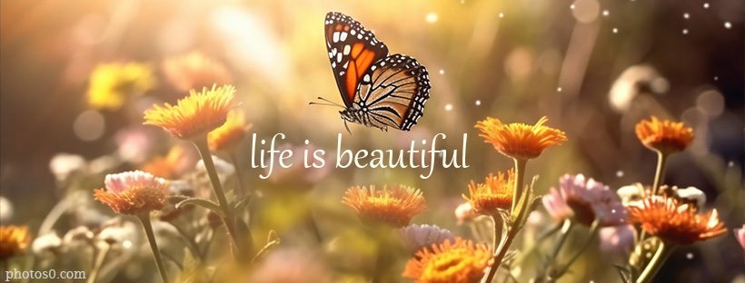 life is beautiful nature flowers butterfly facebook cover photo