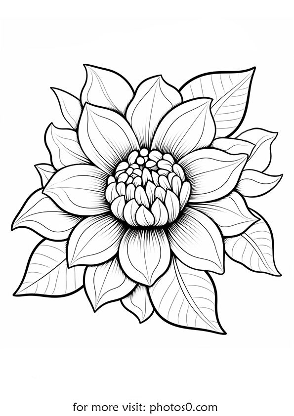 flower coloring sheet for free print