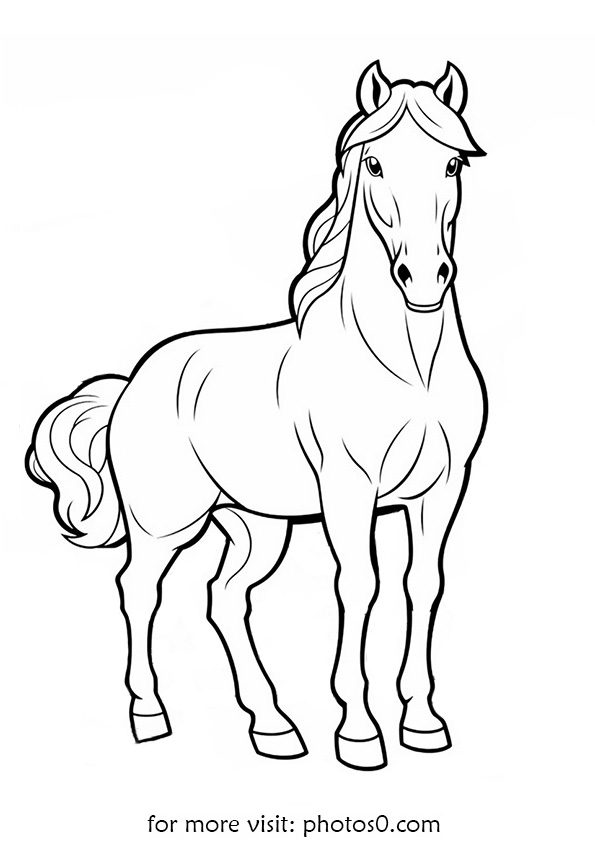 horse coloring page for print free