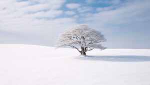 white tree snow wallpaper for windows desktop pc free download